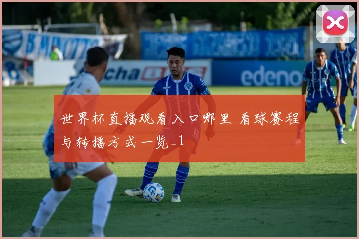 世界杯直播观看入口哪里 看球赛程与转播方式一览_1
