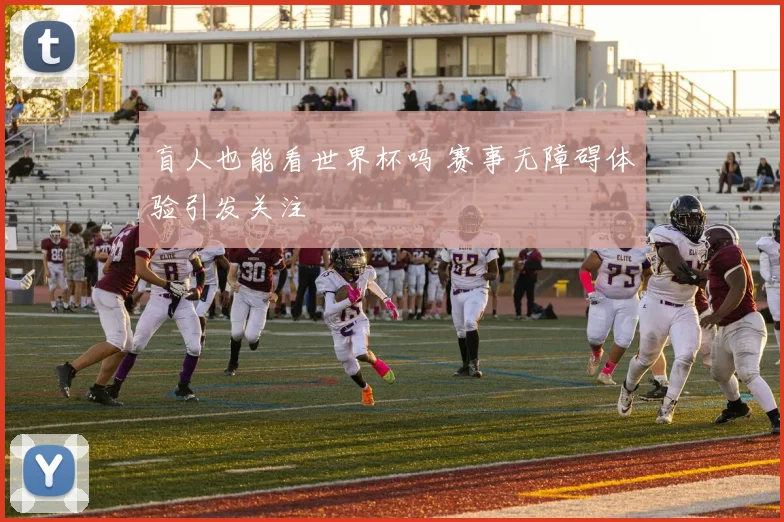 盲人也能看世界杯吗 赛事无障碍体验引发关注