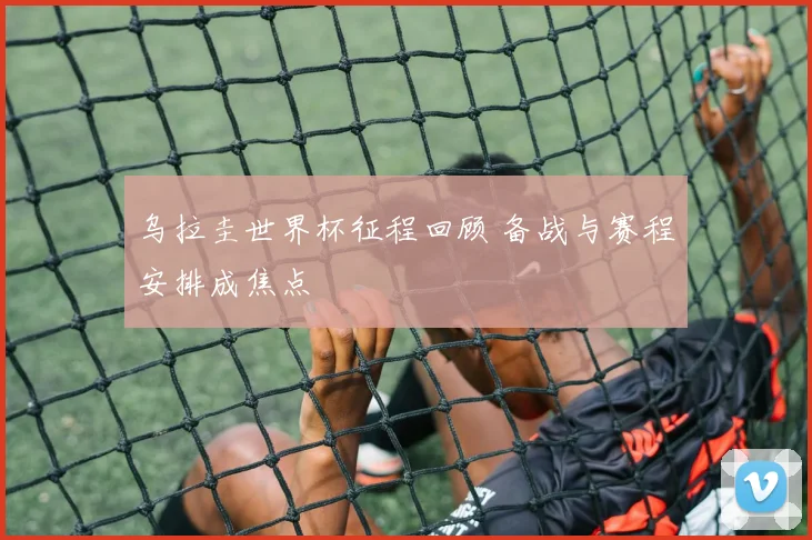 乌拉圭世界杯征程回顾 备战与赛程安排成焦点